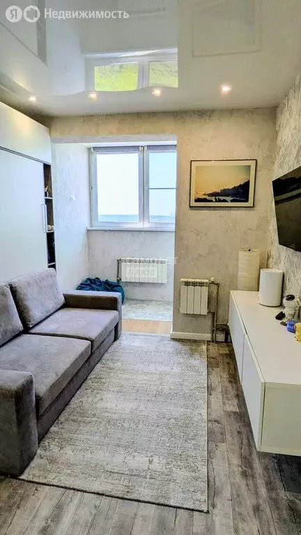 Квартира-студия: деревня Афонино, улица Красная Поляна, 3 (18.1 м) - Фото 2