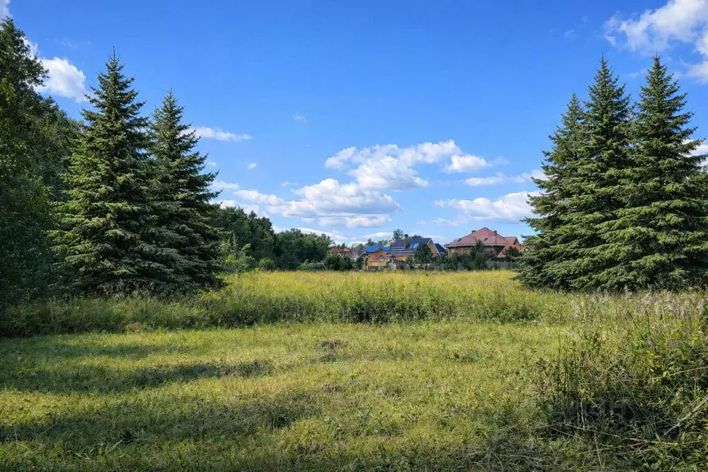 Участок в Московская область, Пушкино Новая Деревня мкр, Колхозная ул. ... - Фото 1