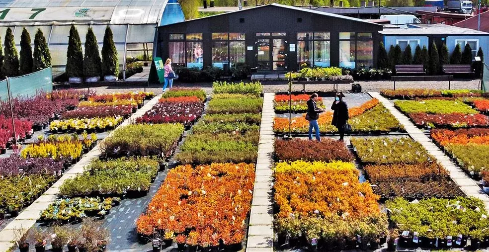 Участок в Московская область, Электросталь Фрязевское ш., 0/48 (42.0 ... - Фото 1