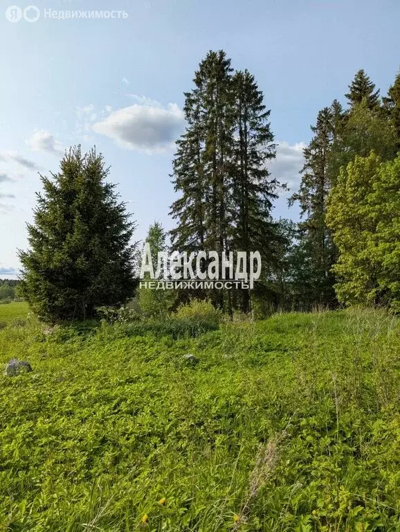 Участок в Республика Карелия, Лахденпохский муниципальный округ, ... - Фото 1