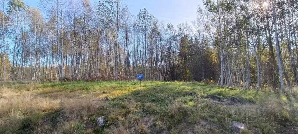Участок в Ленинградская область, Выборгский район, Полянское с/пос, ... - Фото 0