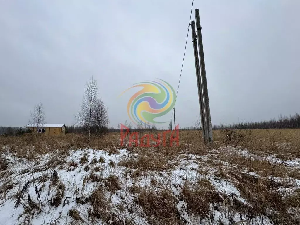 Участок в Ивановская область, Ивановский район, Беляницкое с/пос  ... - Фото 1