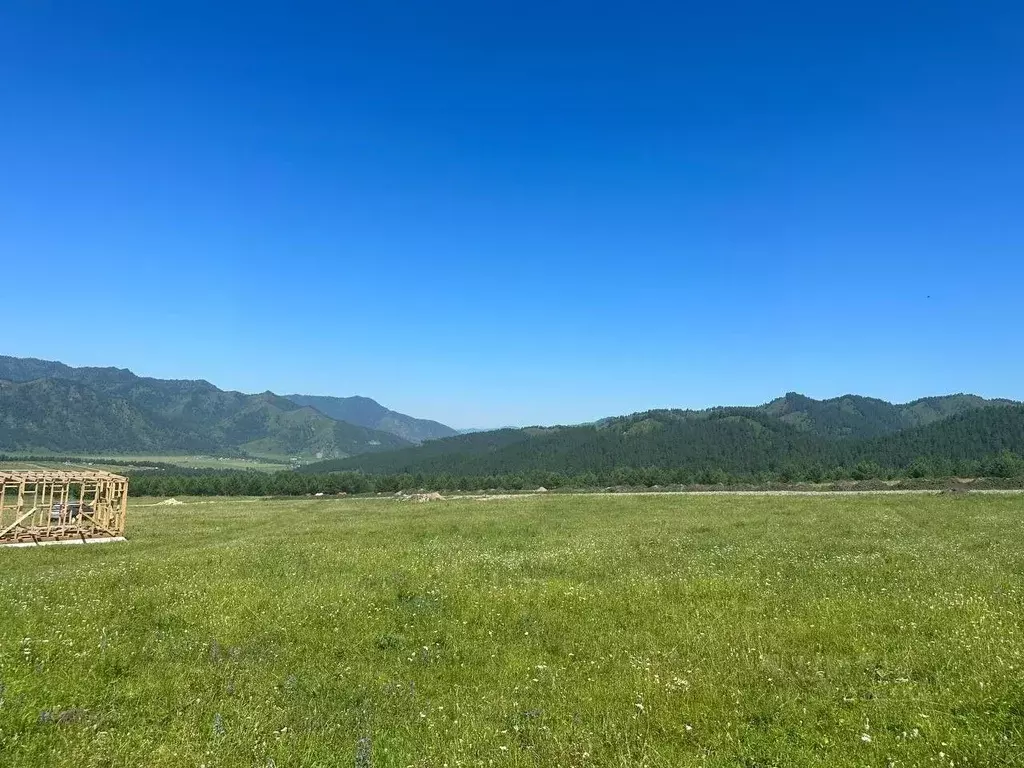 Участок в Алтай, Чемальский район, Элекмонарское с/пос  (10.8 сот.) - Фото 1