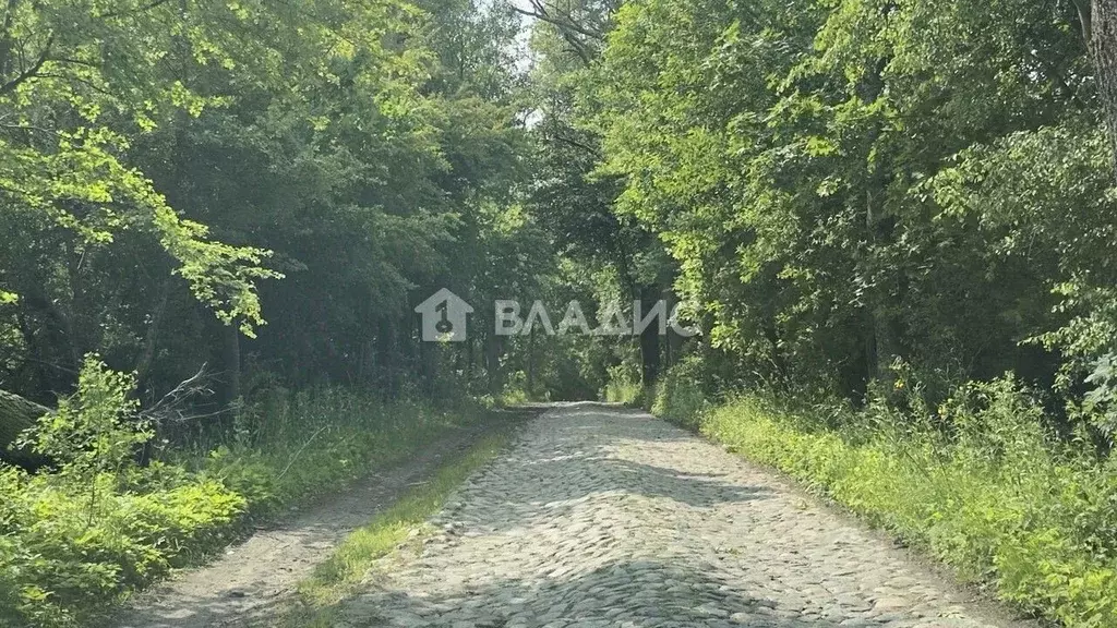 Участок в Калининградская область, Зеленоградский муниципальный округ, ... - Фото 1