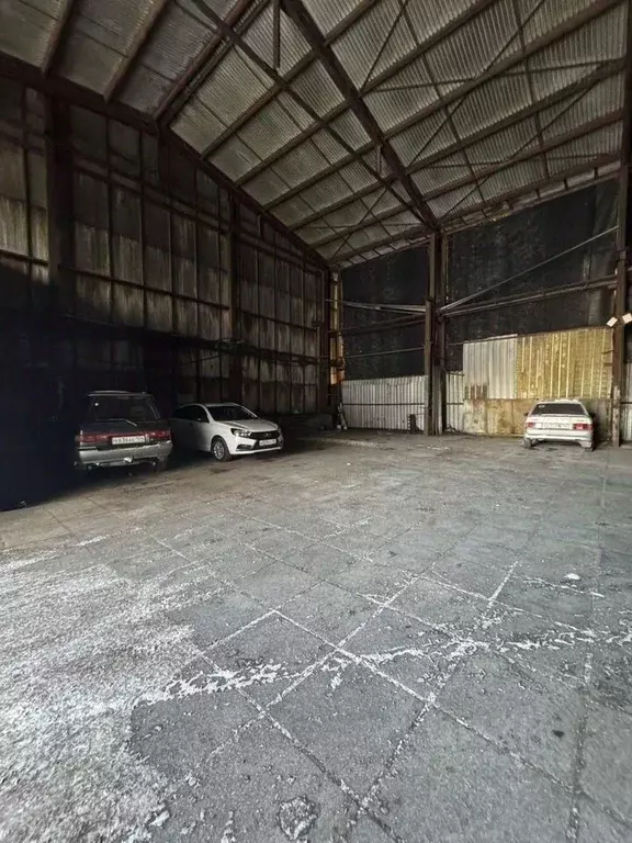 Помещение свободного назначения в Новосибирская область, с. ... - Фото 2