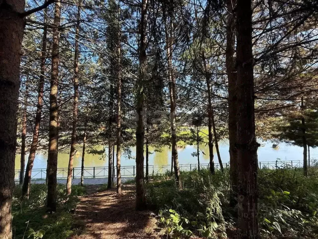 Дом в Вологодская область, Великий Устюг ул. Катышево, 1 (296 м) - Фото 1