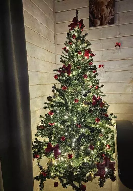 Дом в Новгородская область, Валдайский район, Яжелбицкое с/пос, ... - Фото 2