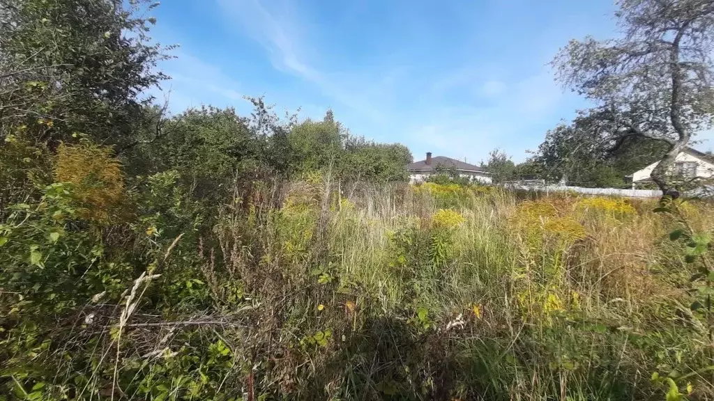 Участок в Смоленская область, Смоленск Трикотажная фабрика СТ, 131 ... - Фото 2