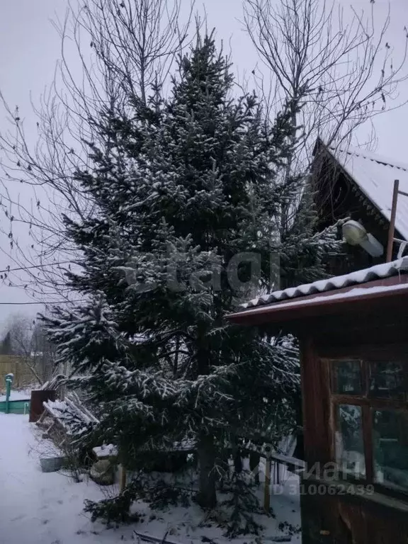 Дом в Тюменская область, Нижнетавдинский район, Строитель ТСН ул. 5-я ... - Фото 0