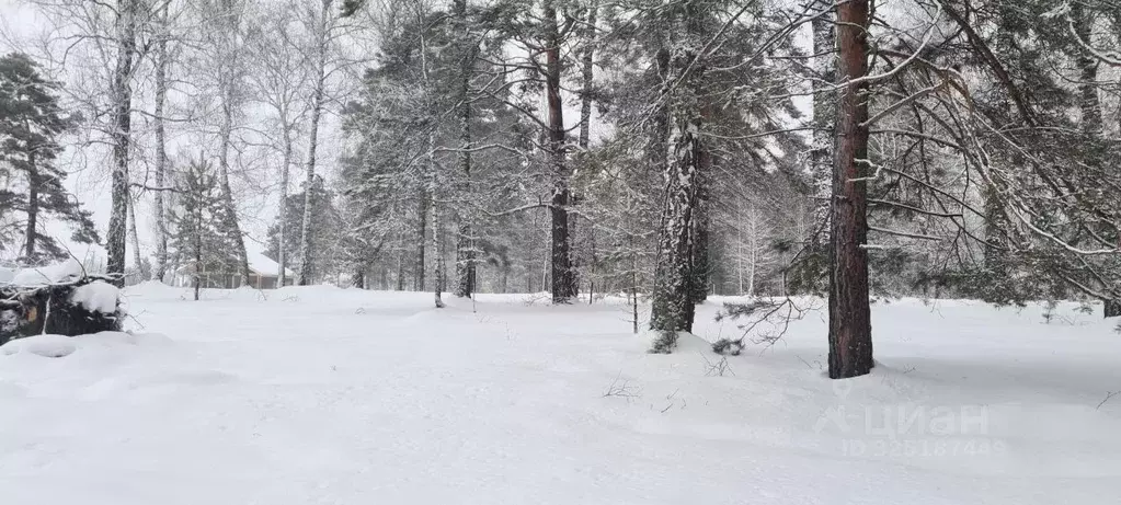Участок в Томская область, Томский район, д. Кандинка ул. Гагарина ... - Фото 1