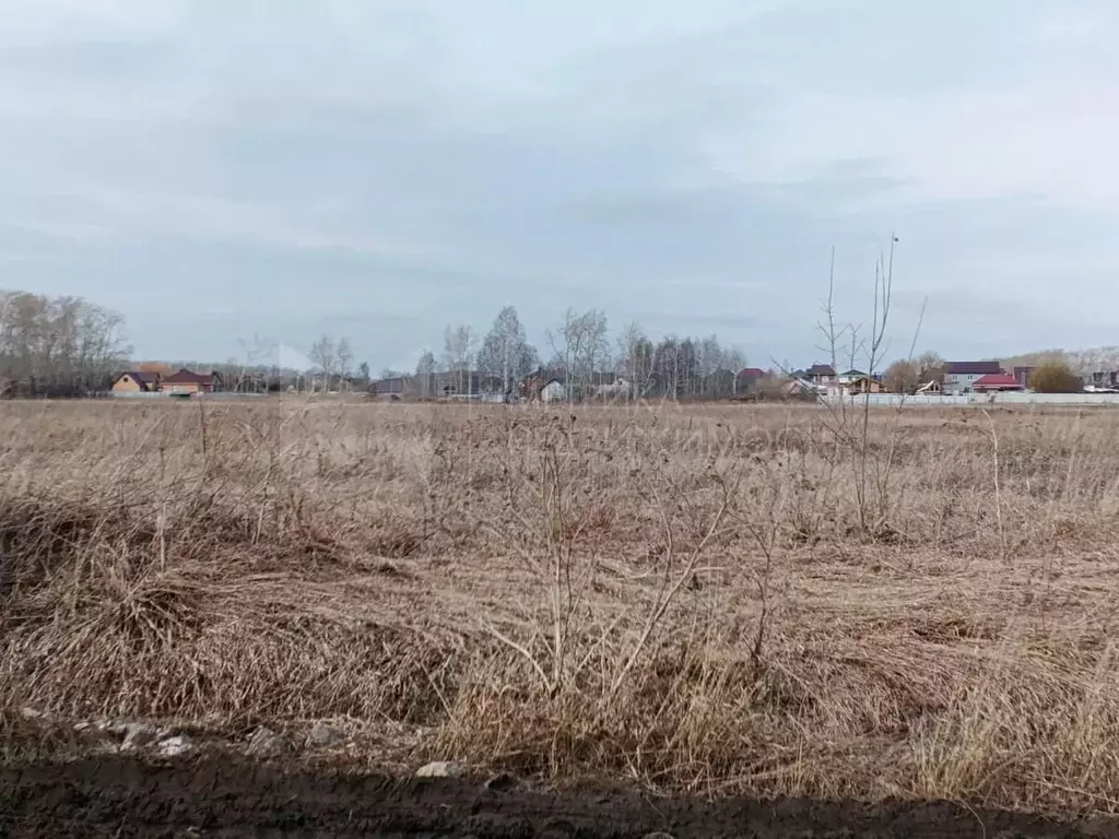 Участок в Тюменская область, Тюмень  (7.0 сот.) - Фото 1