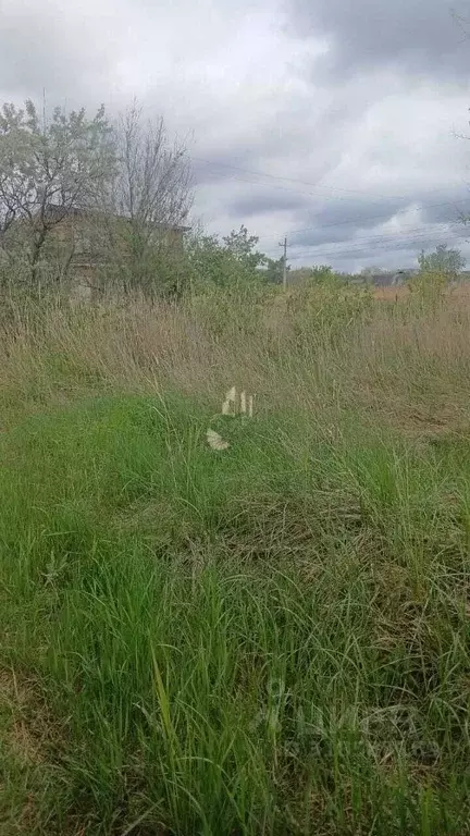Участок в Саратовская область, Энгельсский район, Красноярское ... - Фото 0