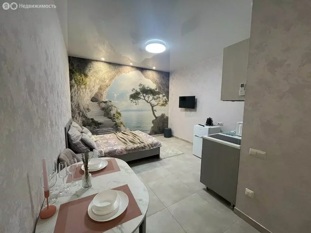 Квартира-студия: Сочи, улица Ленина, 288 (23.3 м) - Фото 2