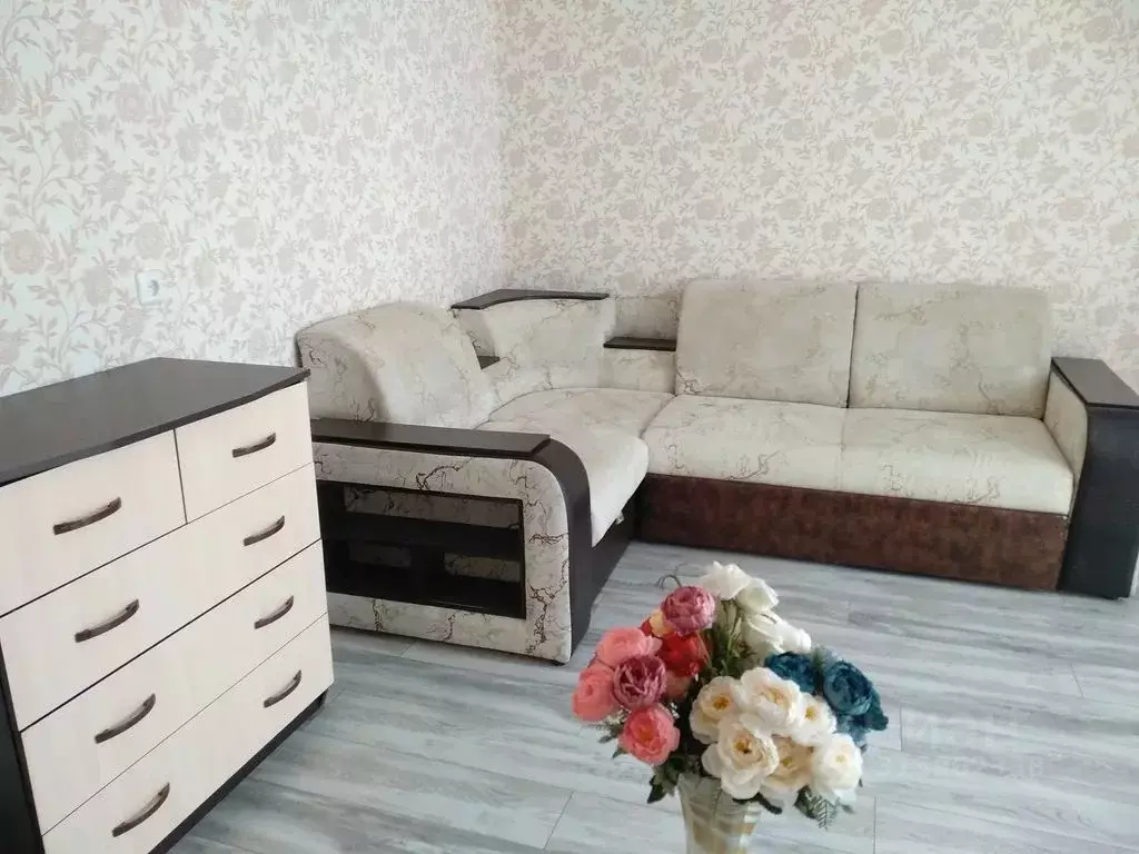 1-к кв. Челябинская область, Чебаркуль 9 Мая ул., 21 (42.0 м) - Фото 0
