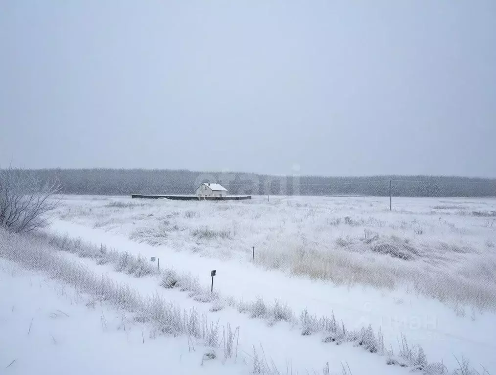 Участок в Тульская область, Узловая ул. Квасникова (12.0 сот.) - Фото 1