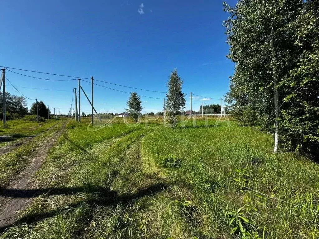 Участок в Тюменская область, Тюмень Салаирский тракт, 6-й км, 19 (4.25 ... - Фото 2