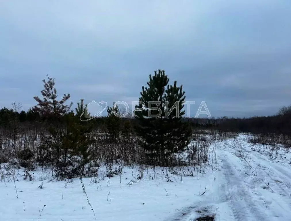 Участок в Тюменская область, Тюменский район, с. Горьковка  (9.16 ... - Фото 0