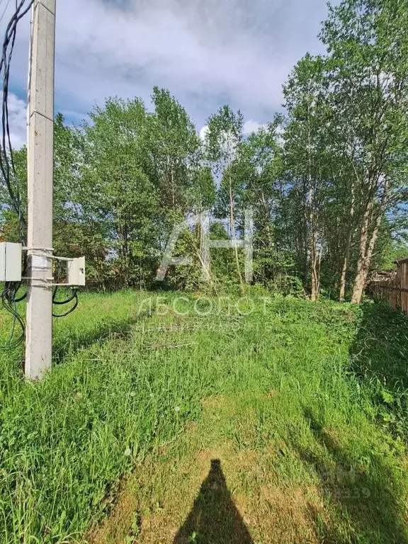 Участок в Московская область, Сергиево-Посадский городской округ, ... - Фото 2