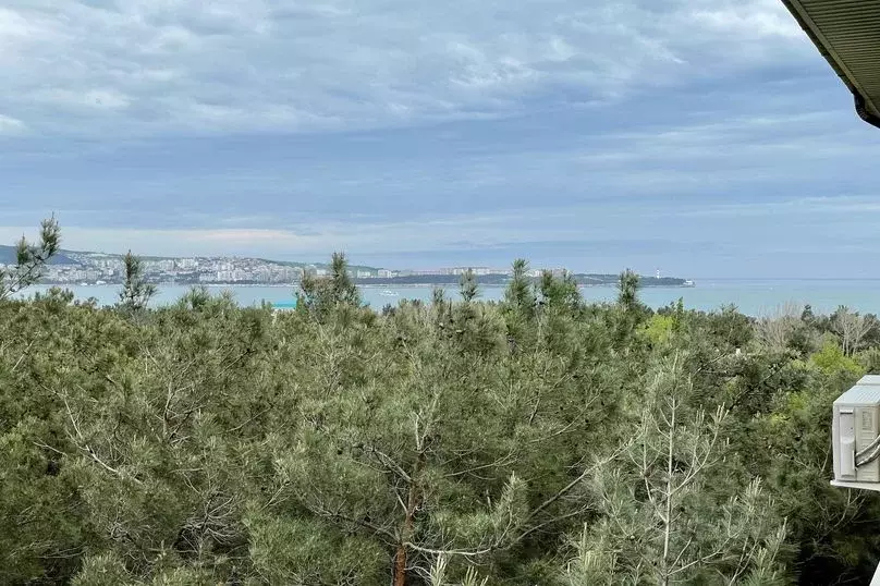 1-к кв. Краснодарский край, Геленджик Туристическая ул., 4Гк3 (48.0 м) - Фото 1