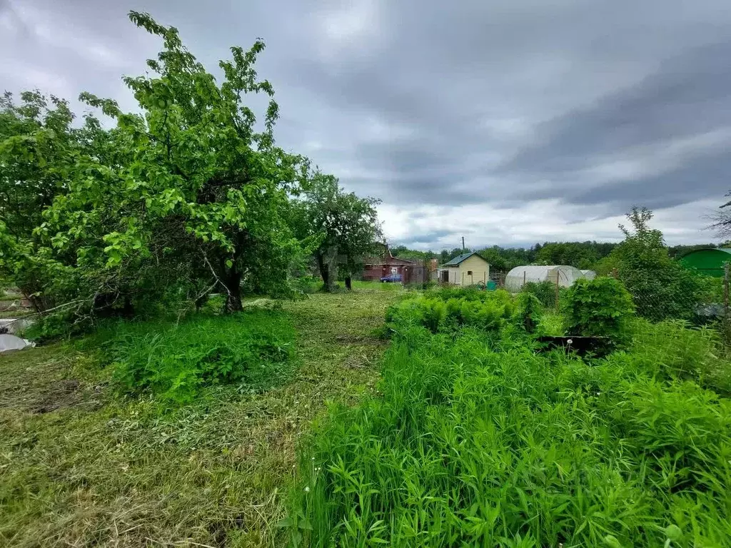 Участок в Костромская область, Кострома Просвещенец СТ,  (6.39 сот.) - Фото 1