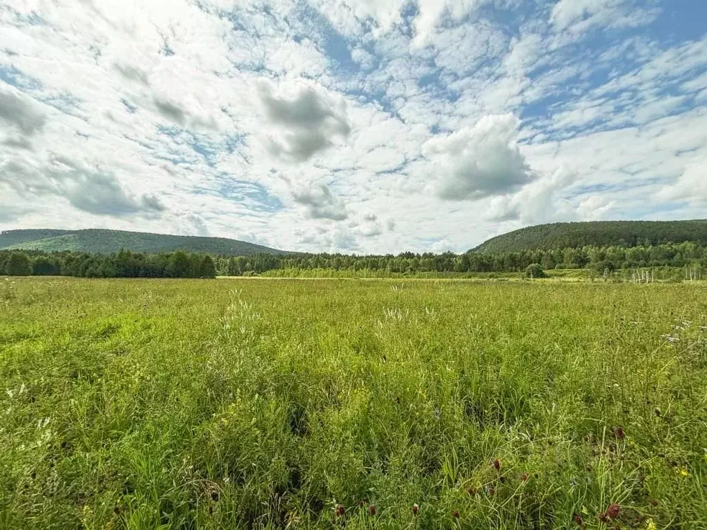Участок в Иркутская область, Шелеховский район, Баклашинское ... - Фото 1