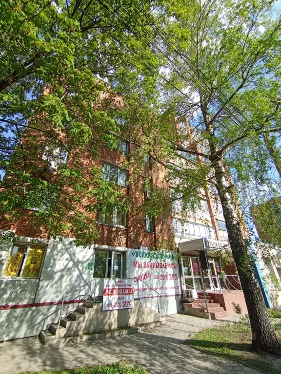Помещение свободного назначения в Курская область, Курск ул. Радищева, ... - Фото 2