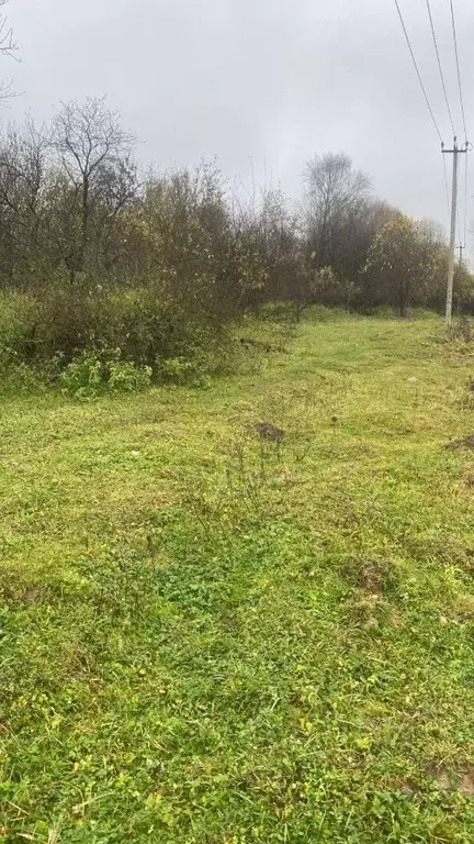 Участок в Владимирская область, Юрьев-Польский муниципальный округ, с. ... - Фото 0