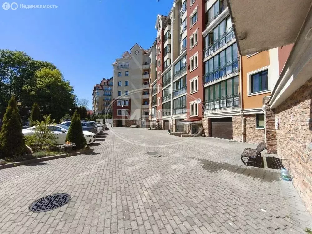 Помещение свободного назначения (63.7 м) - Фото 2