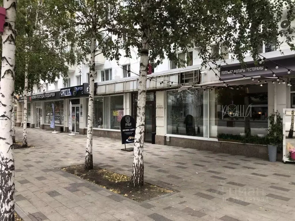 Помещение свободного назначения в Башкортостан, Уфа ул. Ленина, 74 ... - Фото 2