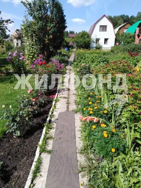 Дом в Новосибирская область, Мошковский район, Бамовец СНТ  (50 м) - Фото 0