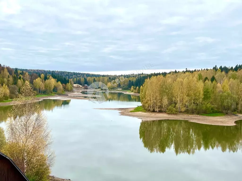 Дом в Пермь, СНТ Ягодка (44.6 м) - Фото 1