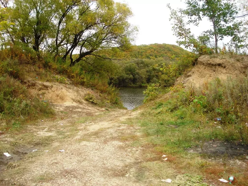 Участок в Приморский край, Лесозаводский муниципальный округ, с. ... - Фото 1