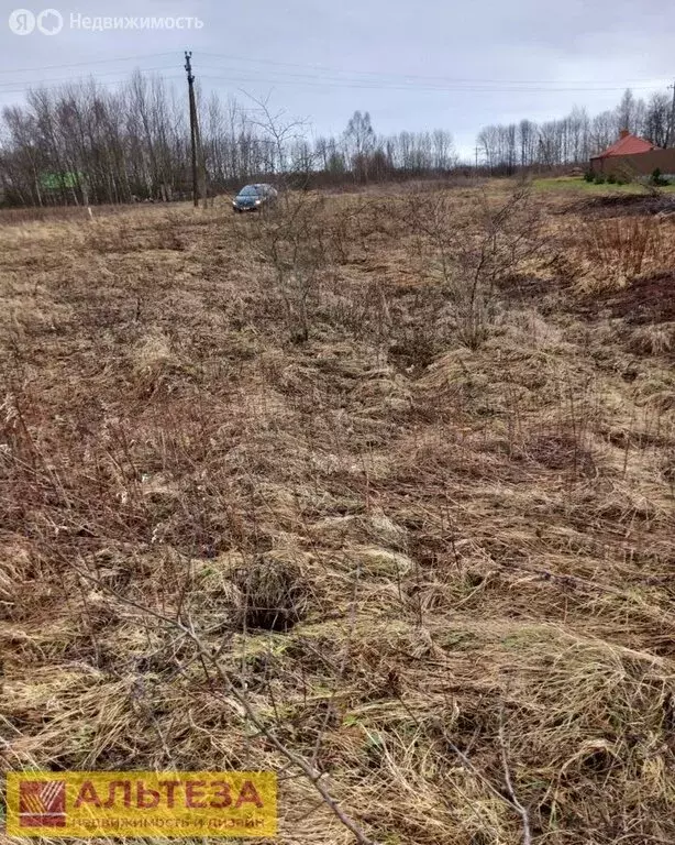 Участок в Калининградская область, Зеленоградский муниципальный округ, ... - Фото 1