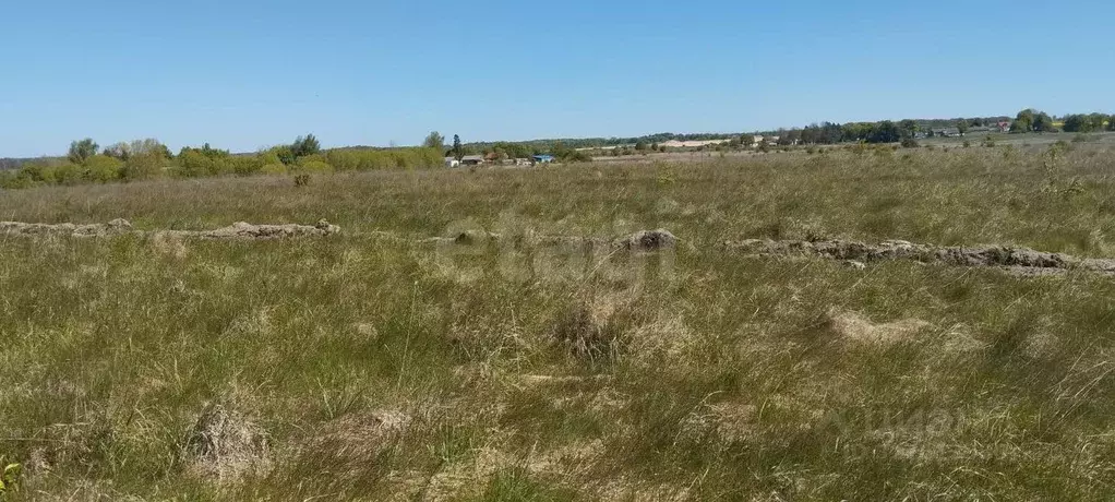 Участок в Калининградская область, Зеленоградск  (8.3 сот.) - Фото 0