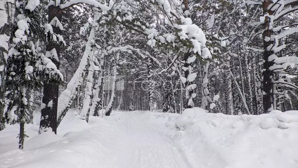 Участок в Кемеровская область, Новокузнецкий муниципальный округ, с. ... - Фото 1