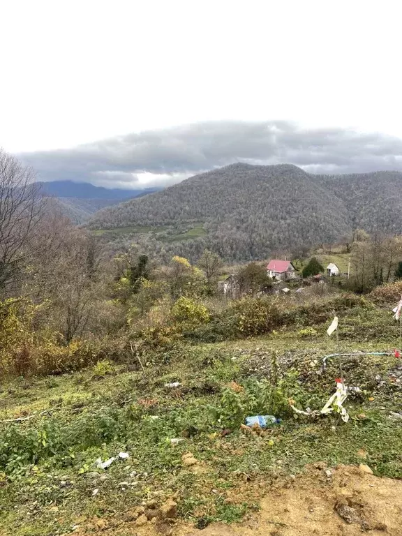 Участок в Краснодарский край, Сочи городской округ, с. Харциз Второй  ... - Фото 0