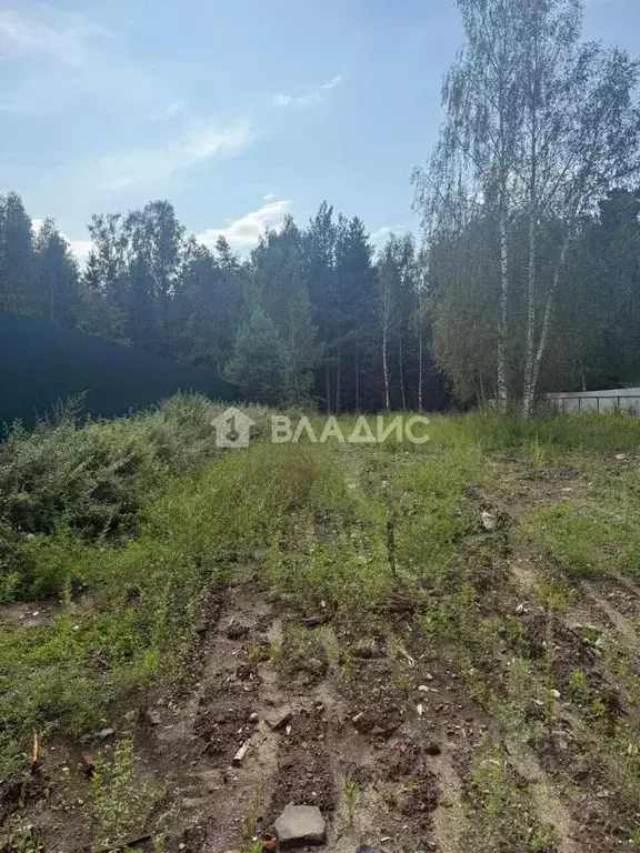 Участок в Ивановская область, Ивановский район, Беляницкое с/пос, д. ... - Фото 2