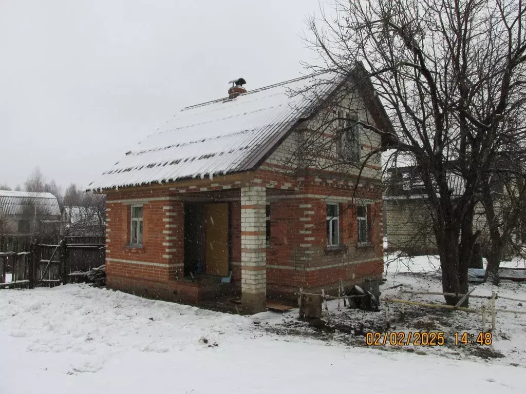 Участок в Нижегородская область, Дивеевский муниципальный округ, Мотор ... - Фото 1