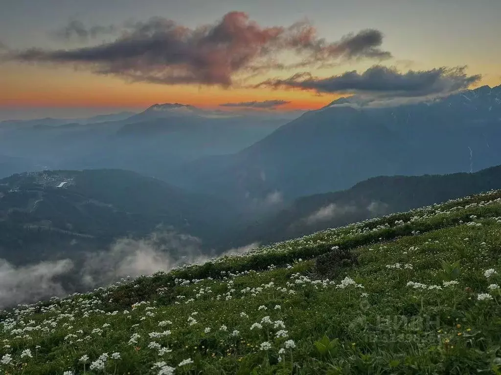 Дом в Краснодарский край, Сочи Красная Поляна пгт, 2-й Садовый мкр, ... - Фото 1
