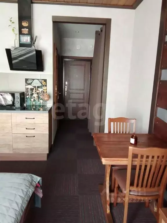 Студия Челябинская область, Миасский городской округ, с. Сыростан ул. ... - Фото 1