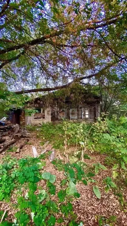 Участок в Мордовия, Саранск Тамбовская ул. (7.7 сот.) - Фото 1