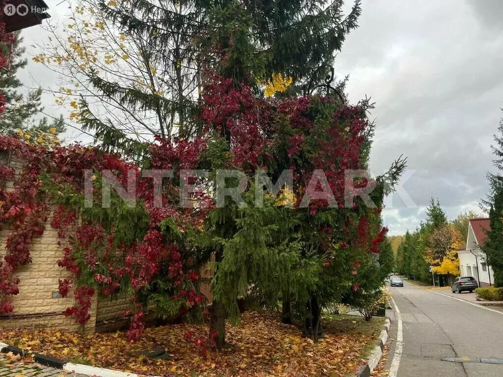 Участок в деревня Солослово, КИЗ Горки-8 (33.52 м) - Фото 1