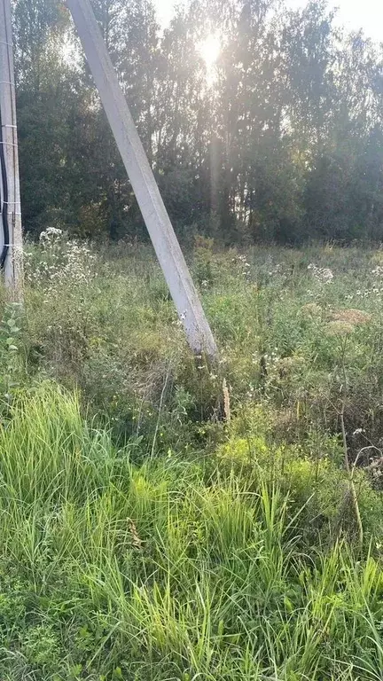 Участок в Московская область, Клин городской округ, Вишневый Сад 2 ДКП ... - Фото 2