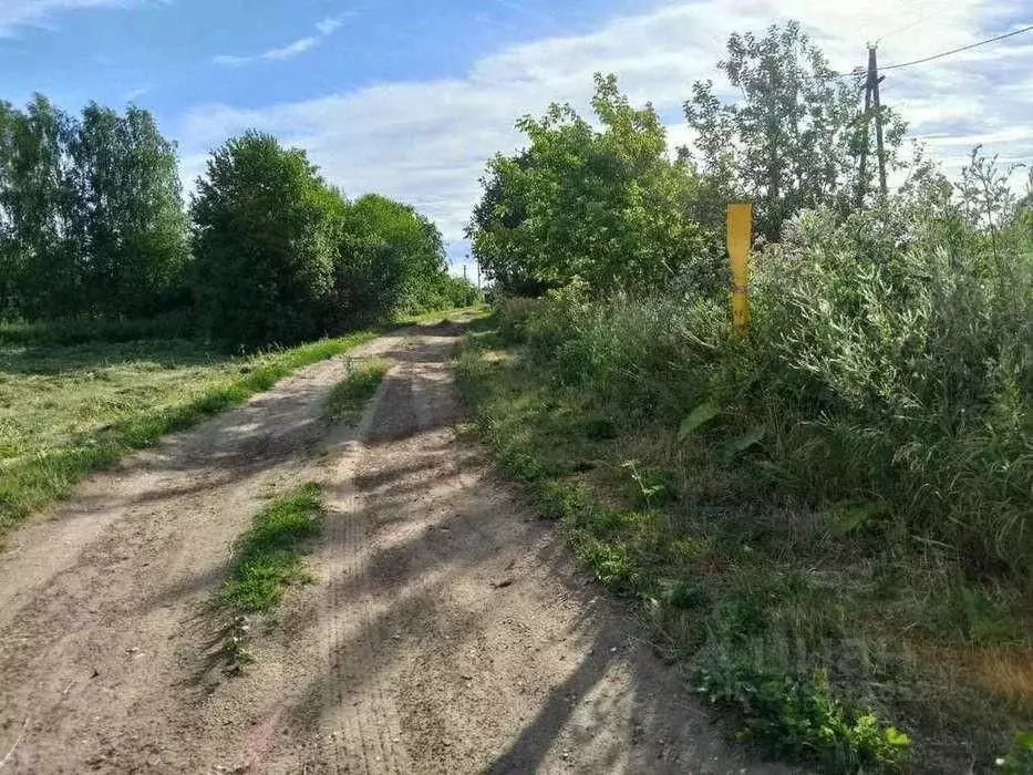 Участок в Кировская область, Киров городской округ, д. Петуховы 8 (9.0 ... - Фото 2