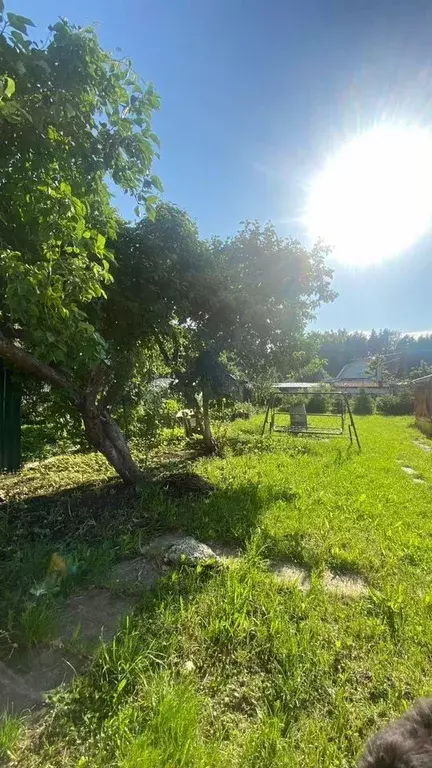 Дом в Ленинградская область, Сосновый Бор Березовая Роща СНТ, 286 (40 ... - Фото 1