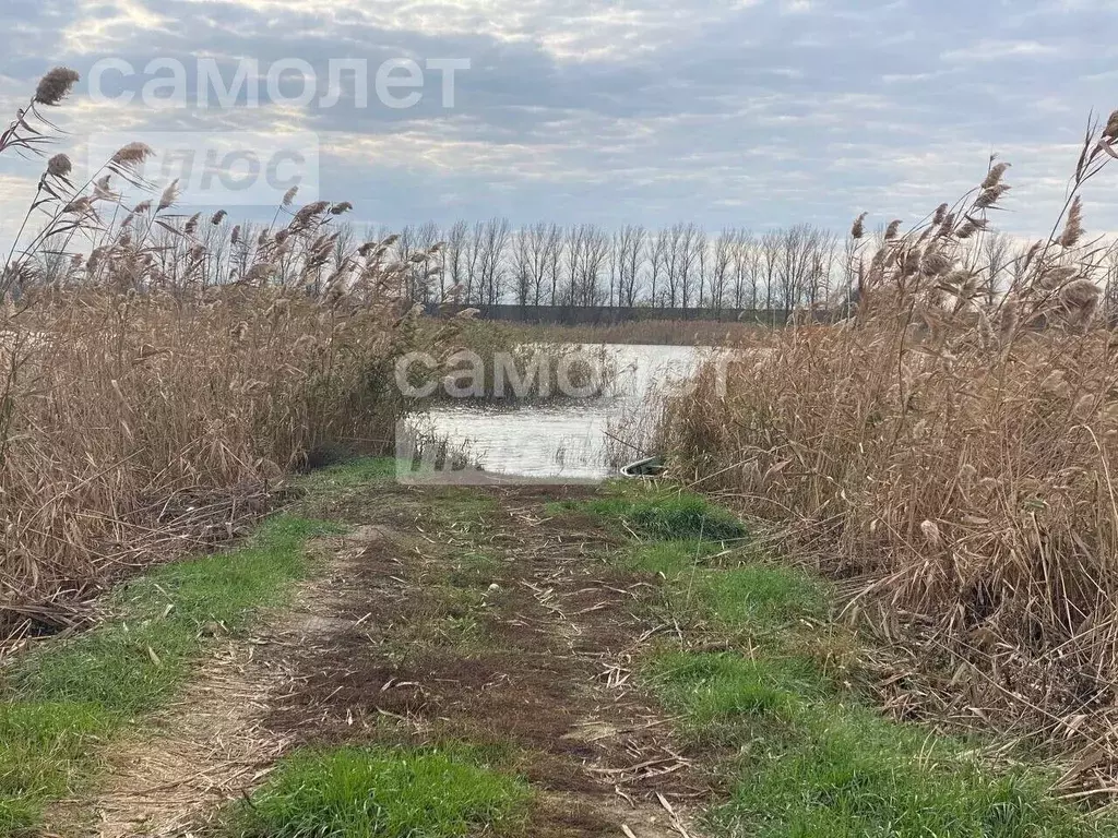 Участок в Краснодарский край, Щербиновский район, Новощербиновская ... - Фото 0