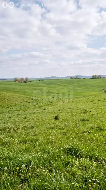 Участок в Усть-Коксинский район, село Чендек (128.43 м) - Фото 2