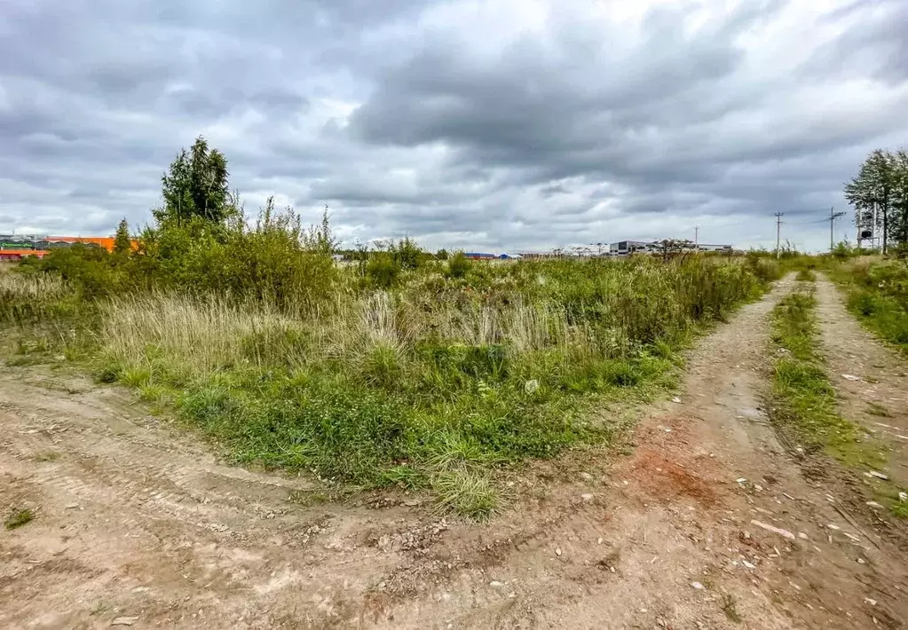 Участок в Ленинградская область, Всеволожский район, Бугровское ... - Фото 1