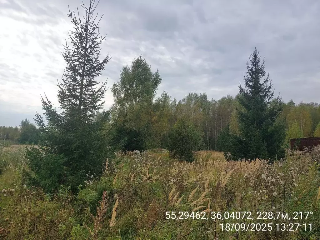 Участок в Московская область, Наро-Фоминский городской округ, д. ... - Фото 2