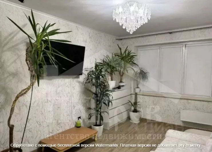 1-к кв. Омская область, Омск Омская ул., 114/3 (30.1 м) - Фото 1